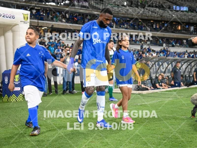 Detalhes da foto #96585