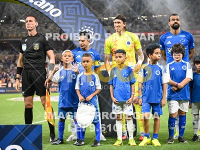 Detalhes da foto #82081