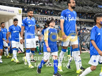 Detalhes da foto #68544