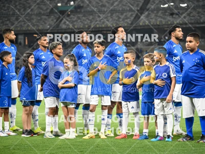 Detalhes da foto #22681