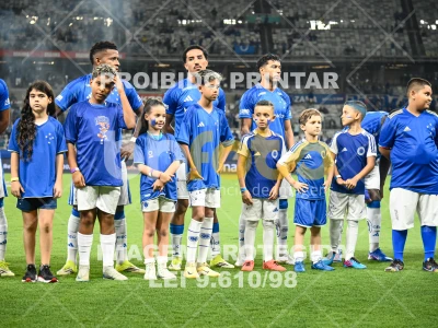 Detalhes da foto #12930