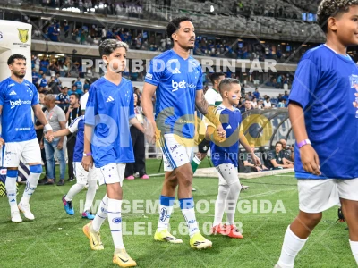 Detalhes da foto #68438