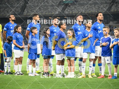 Detalhes da foto #96815