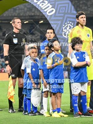 Detalhes da foto #16324