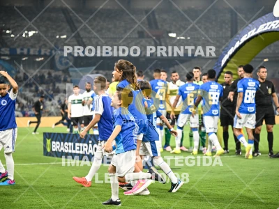 Detalhes da foto #24418