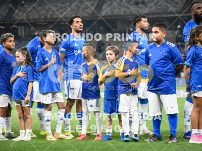 Detalhes da foto #48976