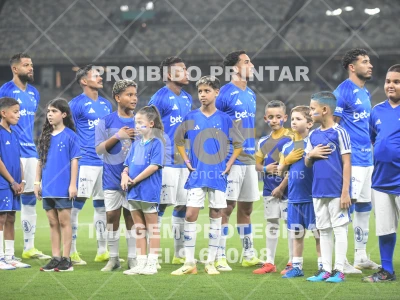 Detalhes da foto #82285