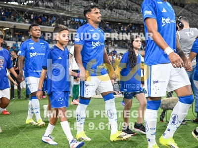 Detalhes da foto #16059