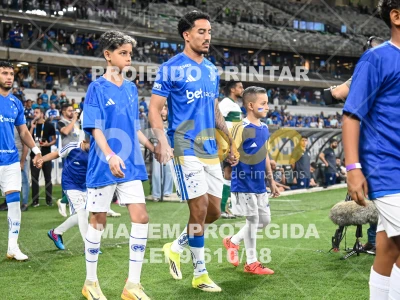 Detalhes da foto #89307