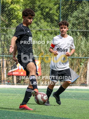 Detalhes da foto #50854