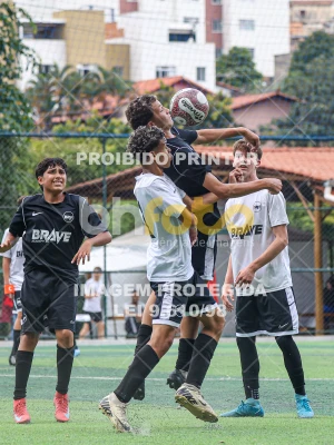 Detalhes da foto #13126