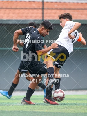 Detalhes da foto #23750