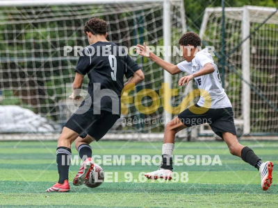 Detalhes da foto #45546