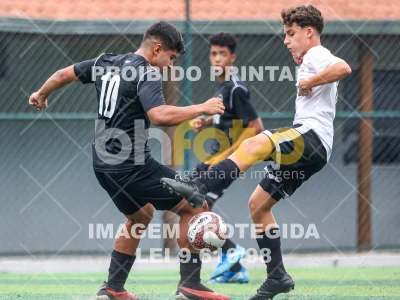 Detalhes da foto #33263