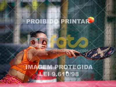 Detalhes da foto #4085839