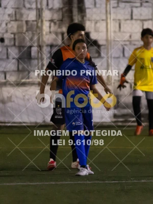 Detalhes da foto #8739282