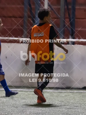 Detalhes da foto #4233405