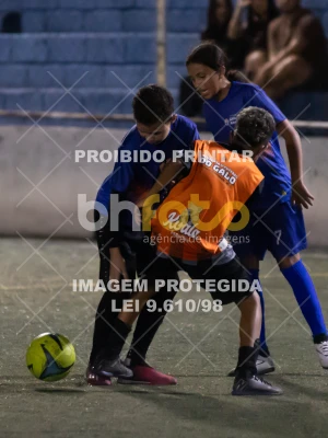 Detalhes da foto #7245701