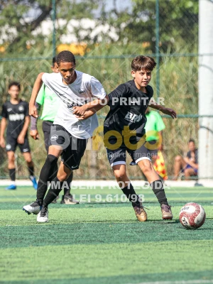 Detalhes da foto #4830684