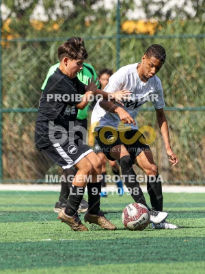 Detalhes da foto #3582492