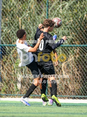 Detalhes da foto #7652109