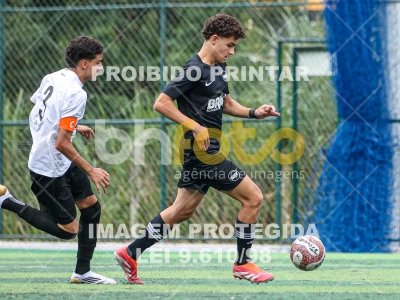 Detalhes da foto #7973365