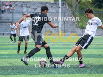 Detalhes da foto #1234765