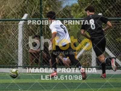 Detalhes da foto #3944086
