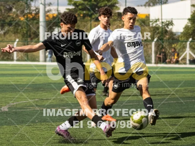 Detalhes da foto #9974047