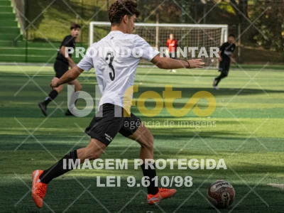 Detalhes da foto #8459507