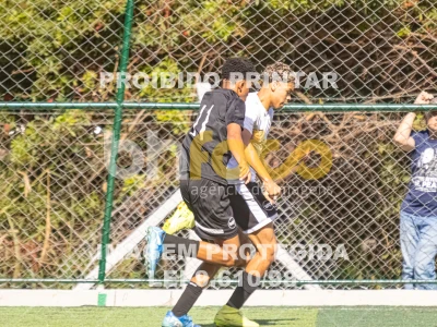 Detalhes da foto #5905056