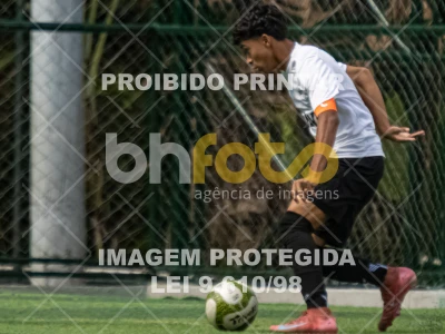 Detalhes da foto #2880229