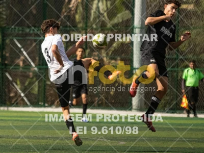 Detalhes da foto #9039997