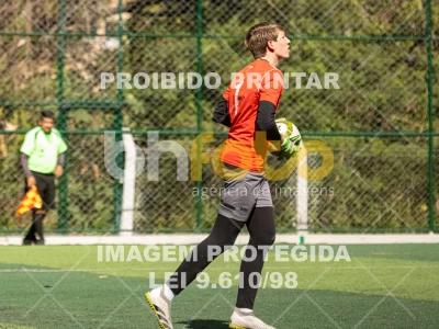 Detalhes da foto #2908731