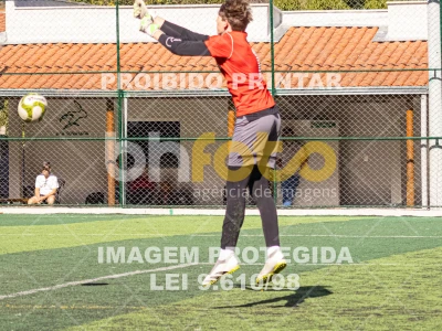 Detalhes da foto #1513777
