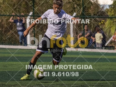 Detalhes da foto #9028038