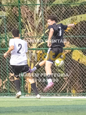 Detalhes da foto #4632684