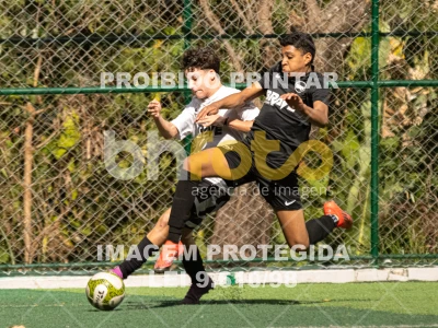 Detalhes da foto #1953208