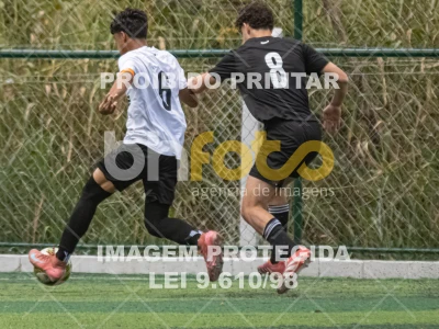 Detalhes da foto #3085299