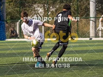 Detalhes da foto #8271693