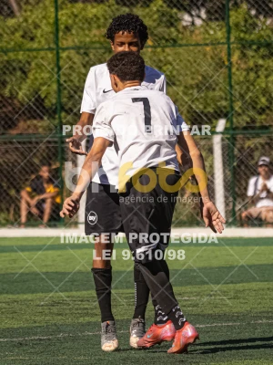 Detalhes da foto #4072896