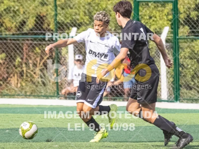 Detalhes da foto #7347703