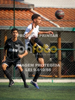 Detalhes da foto #8443588