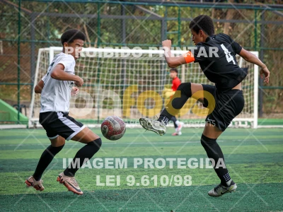Detalhes da foto #1280727