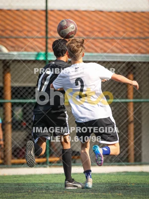 Detalhes da foto #2734157
