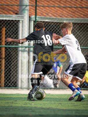 Detalhes da foto #7356308