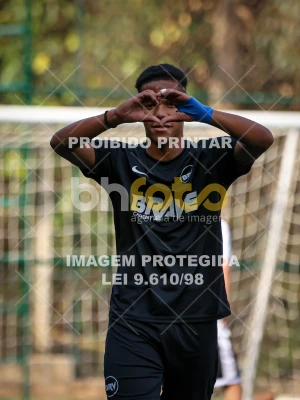 Detalhes da foto #4193616