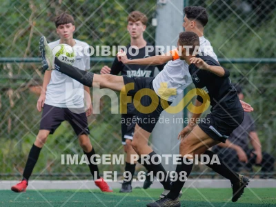 Detalhes da foto #4498853