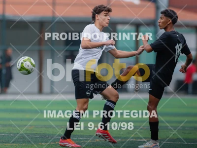 Detalhes da foto #2955759