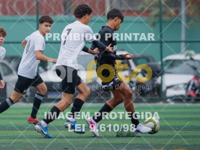 Detalhes da foto #8020805